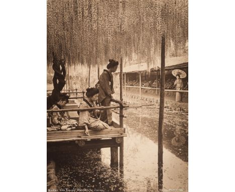 * Herbert George Ponting [1870-1935] -
Under the Purple Wisterias Japan
carbon print:-
46.3 x 34cm., including 3mm untrimmed 