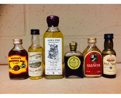 TEN ASSORTED MINIATURES
To include: Glencoe Blended whisky (57%), Adelphi Private stock blended whisky (10cl, 40%), Wallace S