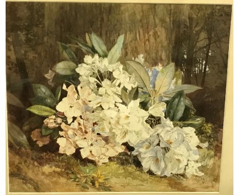 G R SMITH “Rhododendrons", still life study, image size 45 cm x 51 cm, together with "Study from nature - Sketch for painting