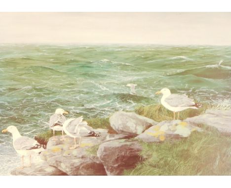 After John Rockey. The Edge Of Devon, Heron Goals, limited edition print number 46/750, signed in pencil to margin, 34cm x 46