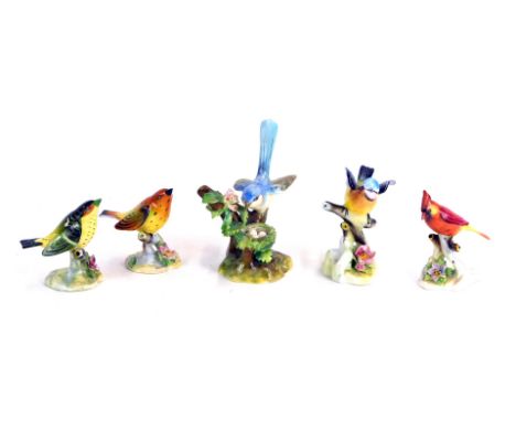 Five Royal Adderley and other bird figures, comprising Myrtal Warbler, Blue Tit, Cardinal and Warbler, and a Worcester J T Jo