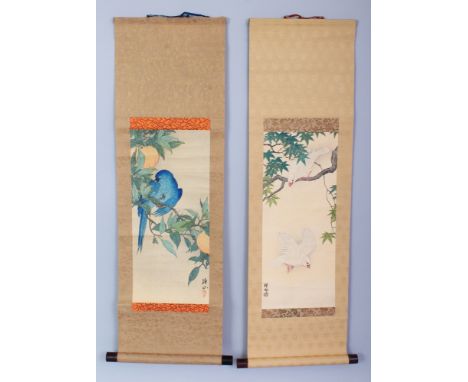 TWO GOOD QUALITY JAPANESE MEIJI PERIOD HANGING SCROLL PRINTS, one depicting a parrot supported on a fruit bearing branch, the