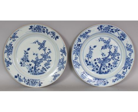 A PAIR OF EARLY 18TH CENTURY CHINESE KANGXI PERIOD BLUE & WHITE PORCELAIN PLATES, each painted with garden foliage, 8.9in dia