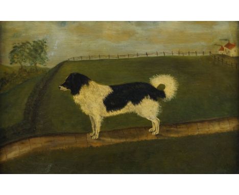 British Provincial School, late 19th century- Border collie on a path; oil on metal, 21 x 29.3 cm. Framed, unexamined out of 