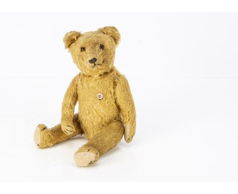 A 1950s Petz teddy bear, with golden mohair, orange and black glass eyes, pronounced muzzle with black stitched nose, mouth a