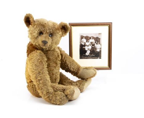 IMPORTANT ANNOUNCEMENT - PLEASE NOTE THAT THIS BEAR IS CIRCA 1906, NOT 1904 AS IN CATALOGUE. A rare large Steiff centre-seam 