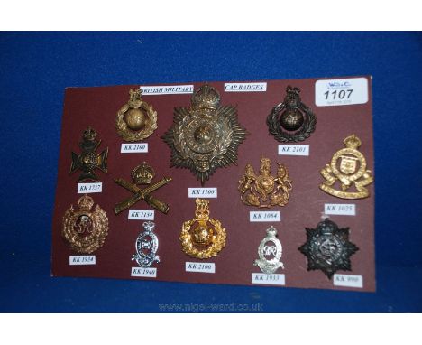 A board of twelve military cap Badges including a Royal Marines helmet plate (all loops and sliders intact).