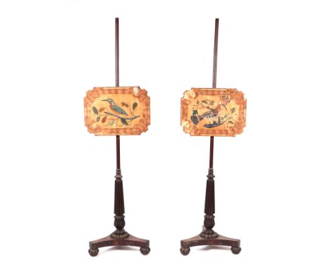 A pair of 19th century rosewood pole screens, each screen hand-painted with a kingfisher and a Hoopee type bird, on carved fl