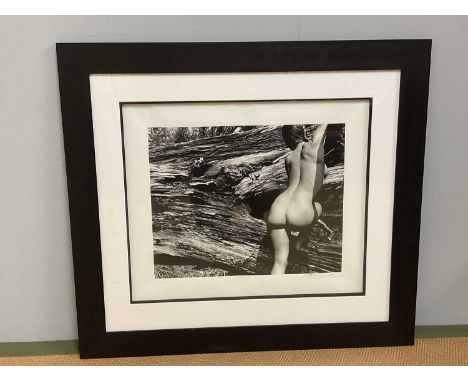 † JOHN SWANNELL; signed limited edition black and white photographic print, 'Naked Landscape Plate 43', 3/295, with DeMontfor
