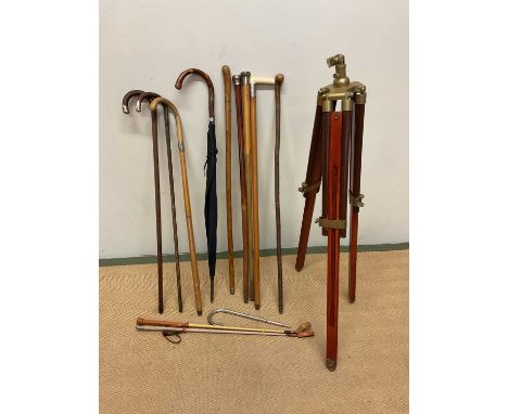 A collection of walking sticks including some with white metal mounts, an umbrella, a thumb stick, riding crops and a brass m