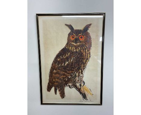 † DAVID KOSTER; signed limited edition coloured print, study of an owl, 19/30, 80 x 55cm, framed and glazed.