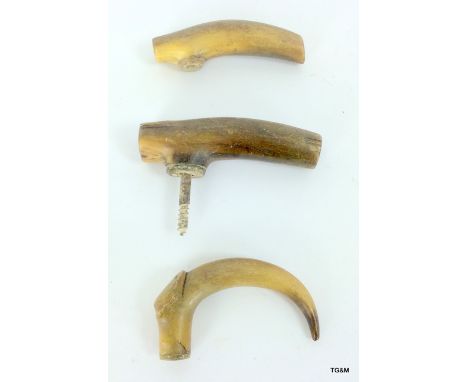 3 Horn walking stick handles (possibly rhino)