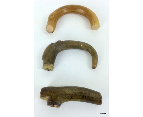 3 horn walking stick handles (possibly rhino)