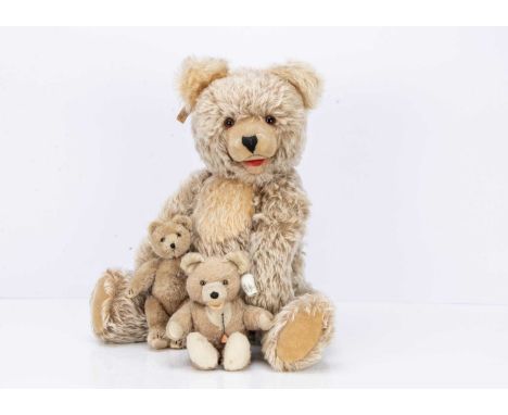 Three post-war Continental teddy bears with labels, a small Mutzi with light brown mohair, brown and black glass eyes, black 