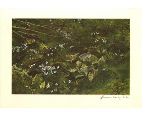 Artist: Andrew Wyeth (American, 1917-2009). Title: "Quaker Ladies". Medium: Color offset lithograph. Date: Composed 1956. Pri