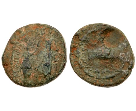 Judaea, Herodian Kingdom. Agrippa I. &AElig; &#40;11.71 g&#41;, 37-44 CE. Caesarea Maritima, RY 8 of Agrippa I &#40;43 CE&#41