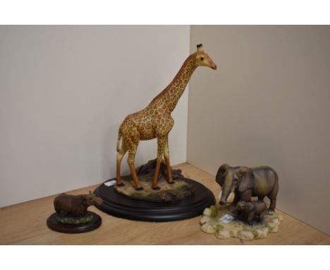 A Feathers Wildlife 'Feathers of Knysna' (South Africa) limited edition study of a Giraffe, number 802/5000, sold along with 