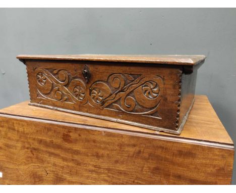 An 18th century oak bible box, the hinged top above a carved front panel, 21 x 64 x 44cm