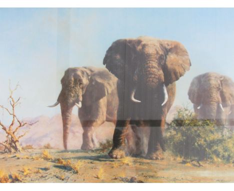 After David Shepherd (1931 - ) CBE The Ivory is Theirs, offset lithograph, framed and mounted under glass, 76 x 38 cm