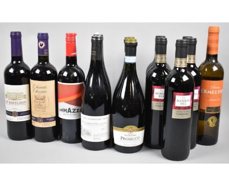 A Collection of Thirteen Bottles of Mixed Wines and Prosecco 