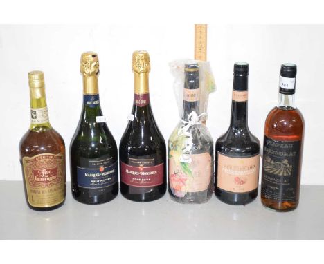 Mixed Lot:  Six bottles of sparkling wine and others