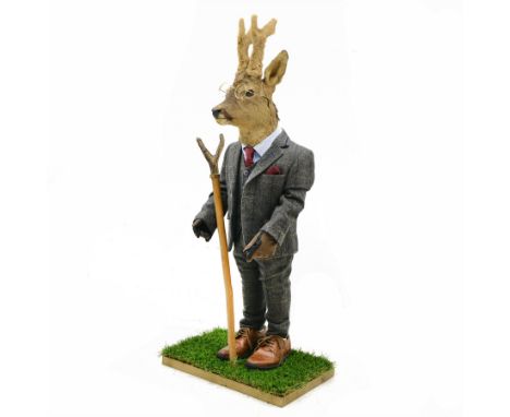 Anthropomorphic Taxidermy: Roe Deer (Capreolus capreolus), in a standing pose dressed as a gentleman with suit and waistcoat,