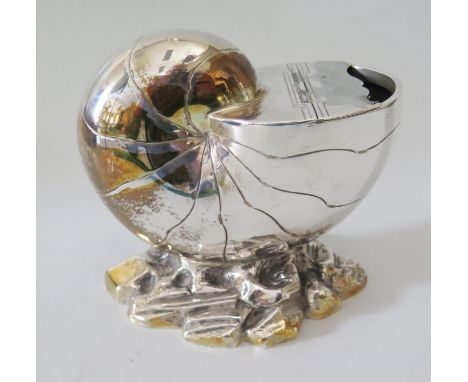 A Nineteenth Century Nautilus Shell Spoon Warmer 