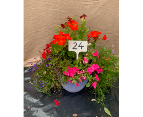 Summer planter. Not available for in-house P&amp;P, contact Paul O'Hea at Mailboxes on 01925 659133 