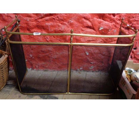 An old brass and mesh fireguard
