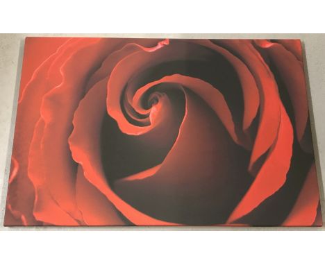 A canvas print of a red rose.  Approx. 60x90cm.