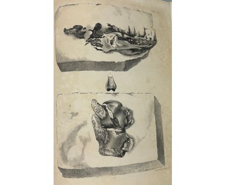 GIDEON MANTELL (1790-1852): THE FOSSILS OF THE SOUTH DOWNS, 1822.42 aquatint engraved plates including hand coloured map. The