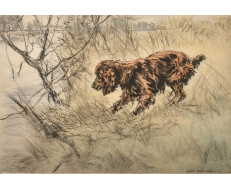 Henry Wilkinson, A Spaniel on a riverbank, coloured etching, signed and numbered 35/150 in pencil, 8.5" x 12.75", (21.5x32.5c