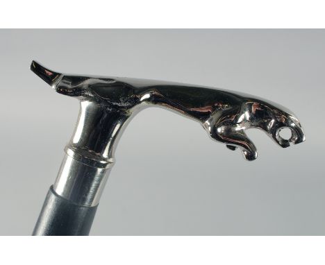 A NOVELTY JAGUAR WALKING STICK.