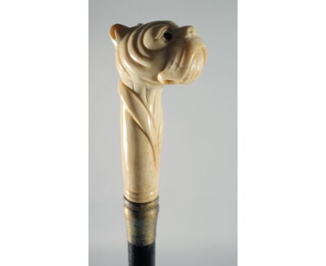 A CARVED BONE BULLDOG HANDLED WALKING STICK.