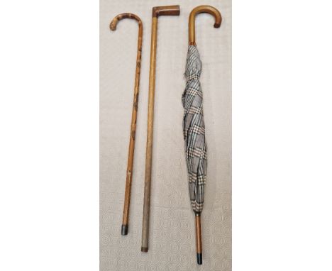 Two vintage walking sticks and an umbrella, 1 stick has a carved snake running through.