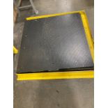 Pallet Scale