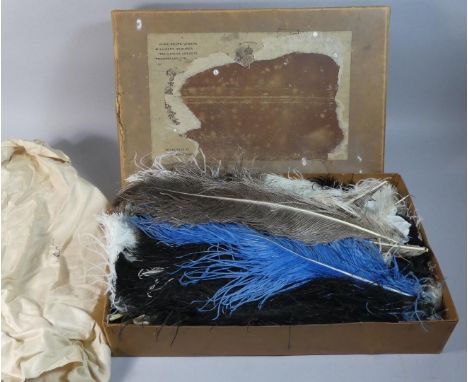 A Box Containing Vintage Peacock Feathers 