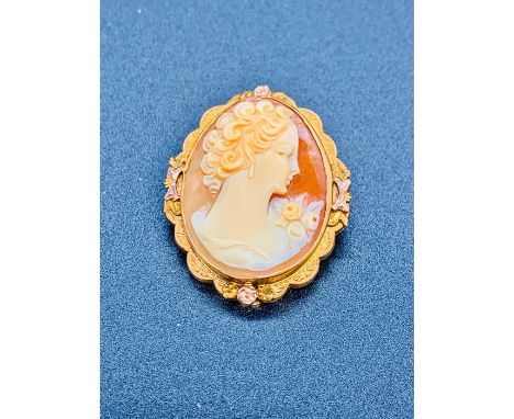 A Classic Cameo brooch on a 10 k gold setting.