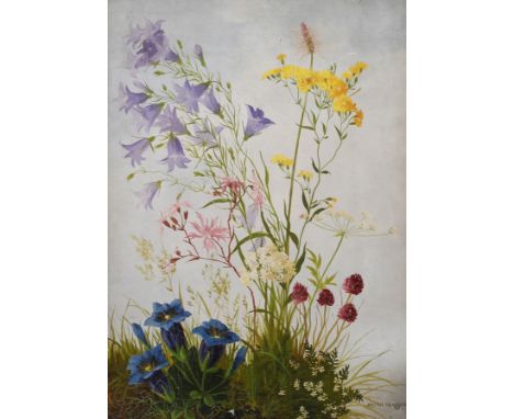 Minni Herzing, "Rasenstück mit verschiedenen Wildblumen"Nahaufnahme von Wildblumen wie Glockenblume, Enzian, Federnelke, Brun