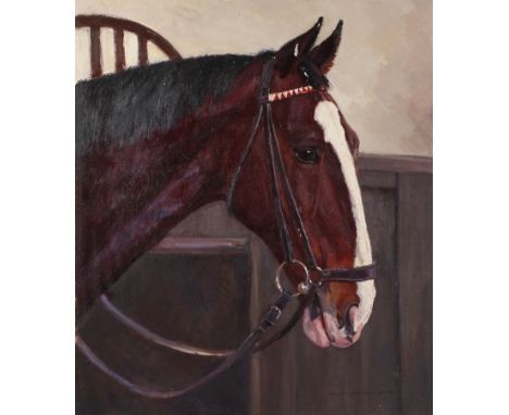 Helmut Bachach-Baree, Reitpferd "Flinga"Kopfstudie einer braunen Stute im Stall, mit breiter Blesse, in Trensenhalfterung, Öl