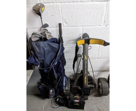 A gold club lion set to include Altron SE M irons, and a King Cobra M Speed offset club, in a San Mountain golf bag and with 