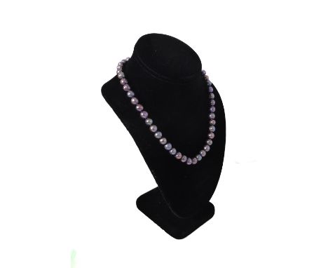 A single strand black pearl necklace: the 8mm pearls individually knotted, with a 14ct white gold plain ball clasp, 43.5cm lo