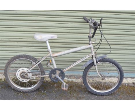 Vintage Raleigh Grifter