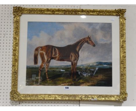 English School Watercolour, Portrait Study Of A Horse In The Style Of Herring, 15 X 20"