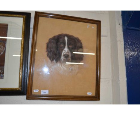 Portrait study of a spaniel, indistinctly signed