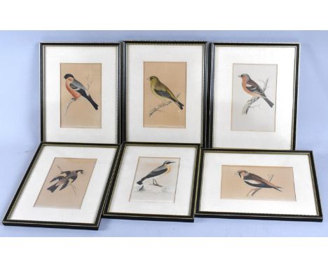 A Collection of Various Framed Book Plates, British Birds, Each Approx 15x11cms 