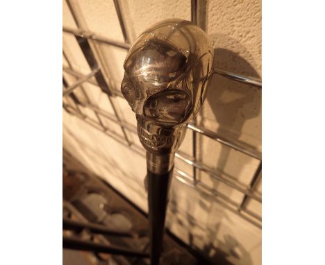 Skull topped walking stick