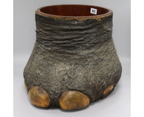 An early 20th C Elephants Foot waste paper bin. Provenance: item has been in the vendors family in East Africa prior 1940 H.3