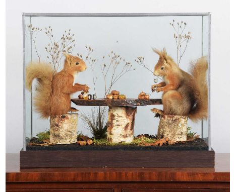 Anthropomorphic Taxidermy: A Cased Pair of Card Playing Red Squirrels (Sciurus vulgaris), modern, a pair of full-mount adults