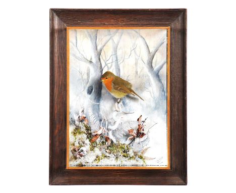 Taxidermy: Wall Cased European Robin (Erithacus rubecula), dated 2020, by A. J. Armitstead, Darlington, Co Durham, a superb q